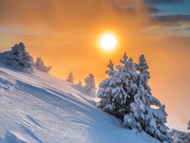 Обои картинки фото природа, зима, простор