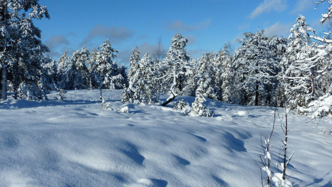 Обои картинки фото природа, зима, простор