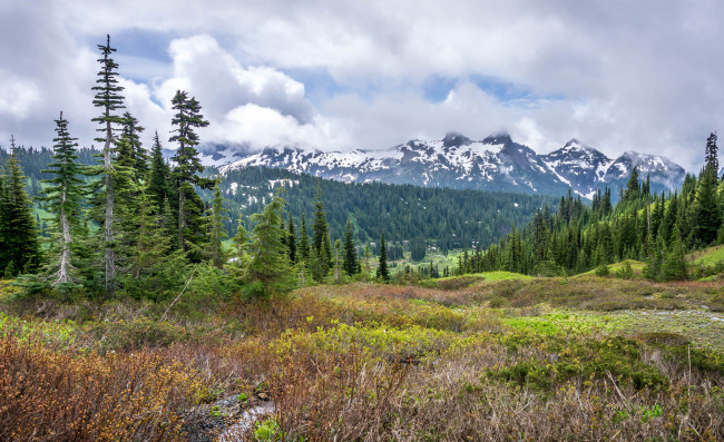 Обои картинки фото природа, пейзажи, простор