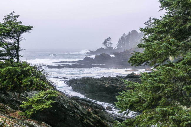 Обои картинки фото природа, побережье, простор