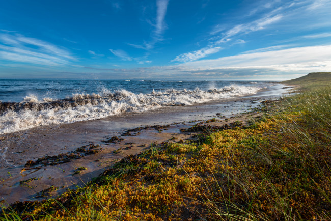 Обои картинки фото природа, побережье, простор