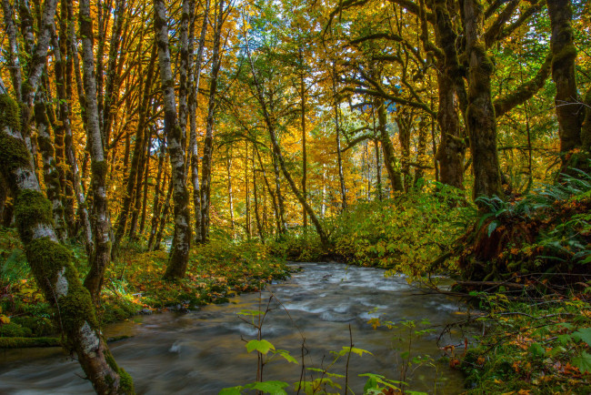 Обои картинки фото природа, реки, озера, простор