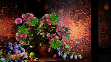 Картинка еда персики +сливы +абрикосы букет сливы