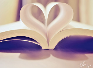 Картинка разное канцелярия +книги книга страницы сердечко