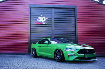 обоя ford mustang green, автомобили, ford, mustang, green, stance, muscle, car