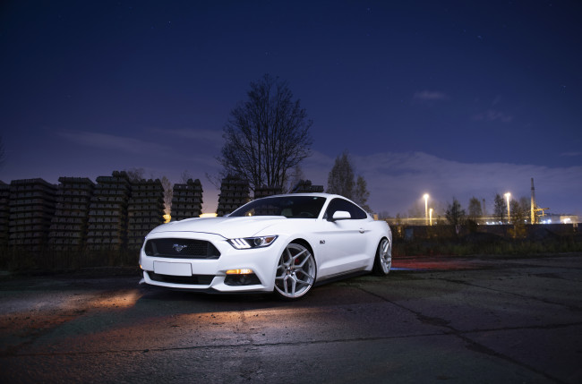 Обои картинки фото ford mustang, автомобили, ford, mustang, white, stance, muscle, car, city
