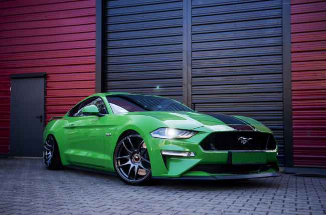 Обои картинки фото ford mustang green, автомобили, ford, mustang, green, stance, muscle, car