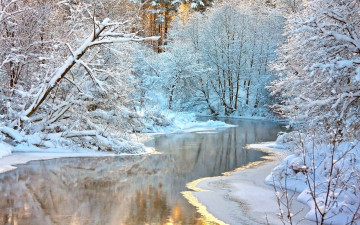 Картинка природа зима снег