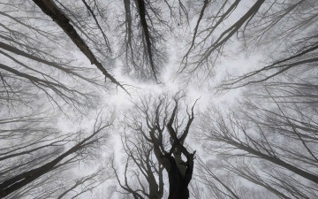 Картинка рисованное vladstudio