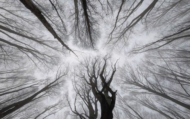 Обои картинки фото рисованное, vladstudio