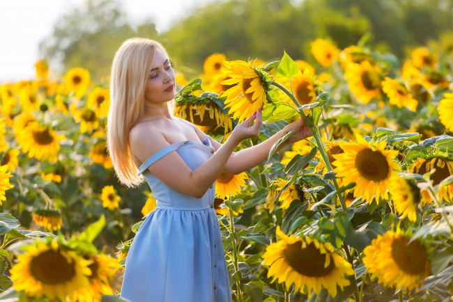 Обои картинки фото девушки, - блондинки,  светловолосые, девушка