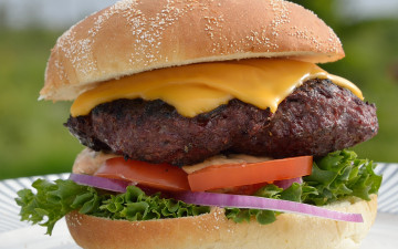 обоя еда, бутерброды,  гамбургеры,  канапе, булочка, сыр, гамбургер, котлета, макро