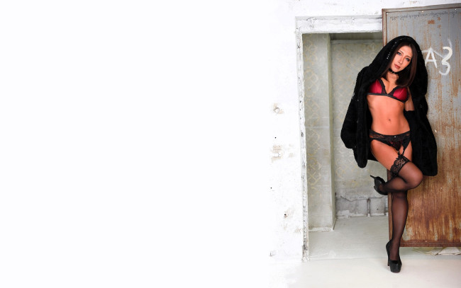 Обои картинки фото девушки, nonsummerjack, шатенка, шуба, белье, чулки, дверь, капюшон