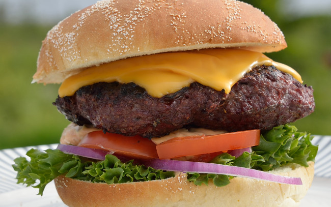 Обои картинки фото еда, бутерброды,  гамбургеры,  канапе, булочка, сыр, гамбургер, котлета, макро