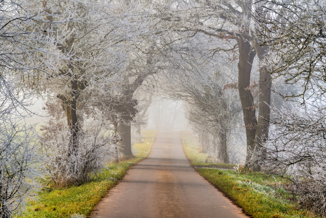 Обои картинки фото природа, дороги, зима