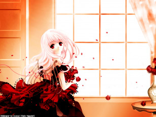 Картинка аниме *unknown другое