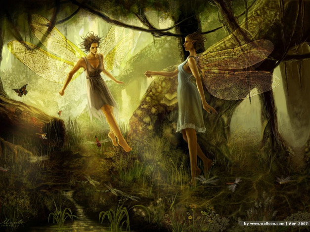 Обои картинки фото фэнтези, феи
