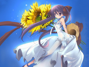 Картинка аниме lucky star