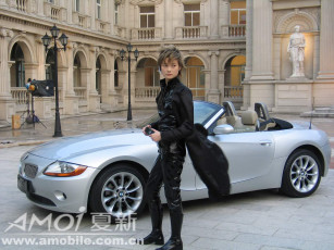 обоя бренды, amoi