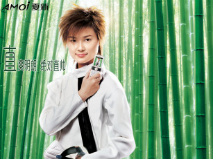 Картинка бренды amoi