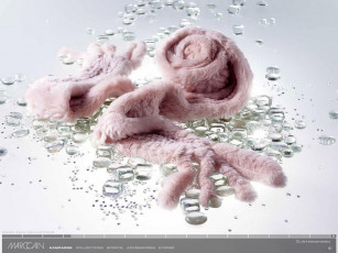 обоя бренды, marc, cain