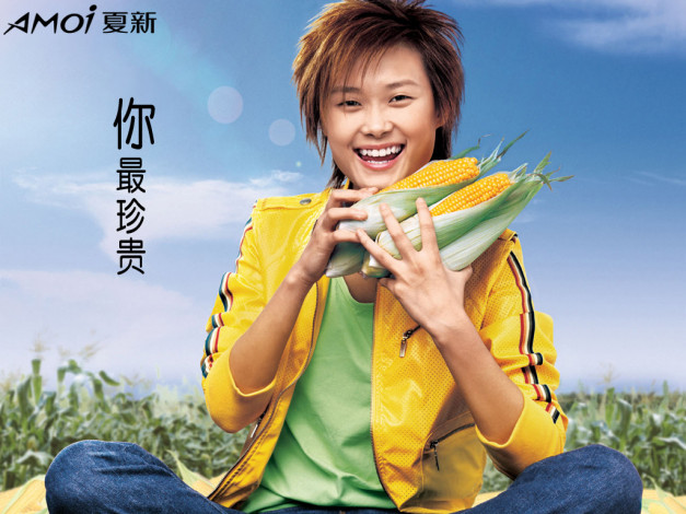 Обои картинки фото бренды, amoi