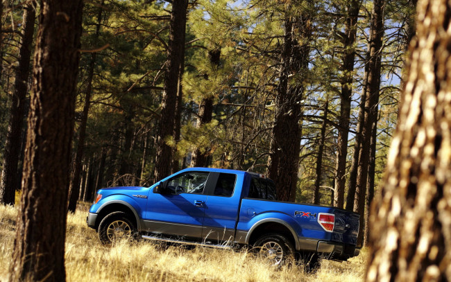 Обои картинки фото ford, 150, fx4, автомобили