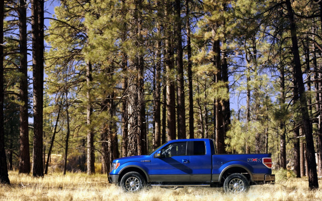 Обои картинки фото ford, 150, fx4, автомобили