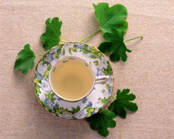 Обои картинки фото еда, напитки, Чай