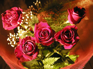 Картинка цветы розы