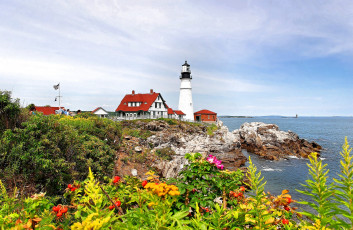 Картинка природа маяки домик цветы море