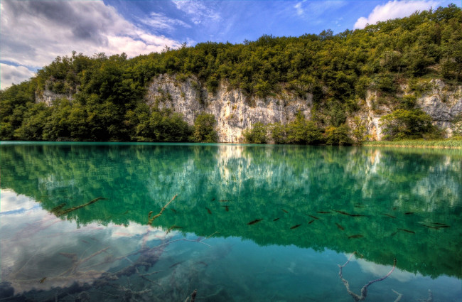 Обои картинки фото природа, реки, озера, вода, отражение, обрыв, лес