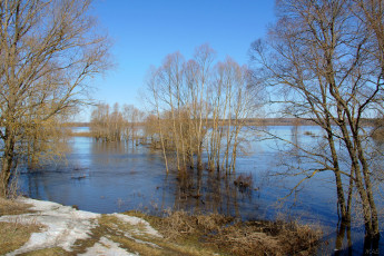 Картинка половодье на пьяне природа реки озера река разлив деревья