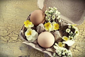 Картинка еда Яйца виола лоток