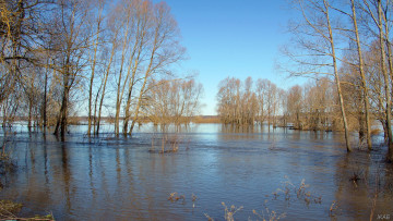 Картинка половодье на пьяне природа реки озера разлив река