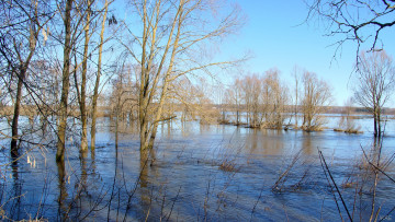 Картинка половодье на пьяне природа реки озера разлив река