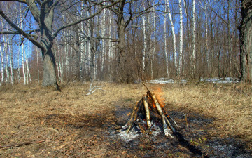 Картинка костёр природа лес весна