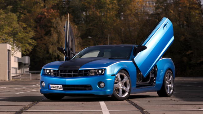 Обои картинки фото chevrolet, camaro, автомобили, gm, division, сша