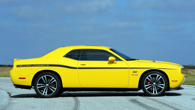 Обои картинки фото dodge, challenger, автомобили, chrysler, group, llc, сша