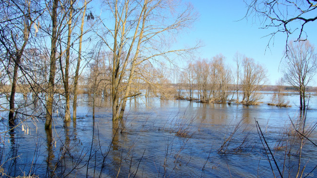 Обои картинки фото половодье, на, пьяне, природа, реки, озера, разлив, река