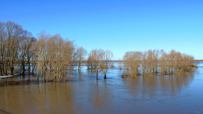 Обои картинки фото половодье, на, пьяне, природа, реки, озера, река, разлив, деревья