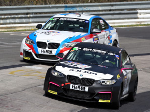 Картинка спорт автоспорт скорость z4 gte bmw 2013 e89