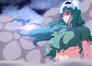 Картинка аниме bleach блич девушка нелл арт пыль волосы