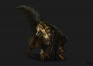 Картинка аниме pokemon собаки арт плащ мужчина покемон