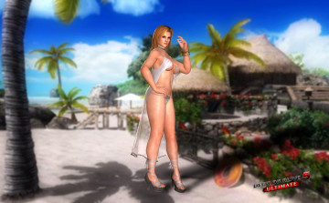 Картинка dead+or+alive+5+ultimate видео+игры -+dead+or+alive+5+ultimate взгляд девушка