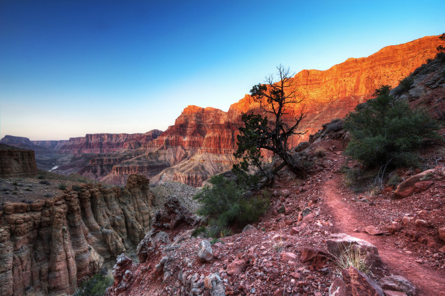 Обои картинки фото природа, горы, тропинка, ущелье, скалы, дерево