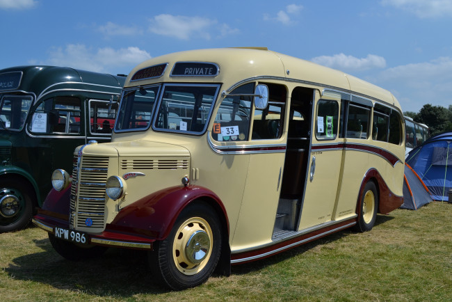Обои картинки фото 1949 bedford ob duple vista, автомобили, автобусы, история, ретро, автошоу, выставка