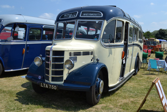 Обои картинки фото bedford ob, автомобили, автобусы, история, ретро, автошоу, выставка