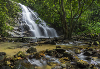 Картинка природа водопады водопад река лес