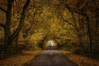 Картинка природа дороги тракт